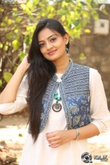 Nikitha Narayan at Ladies and Gentlemen Platinum Disc Function